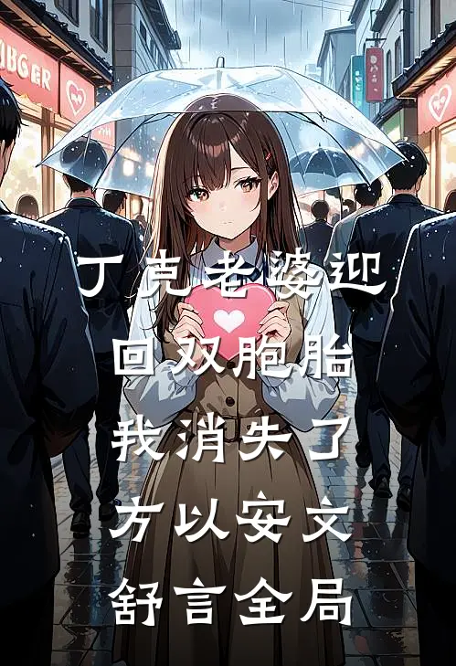 丁克老婆迎回双胞胎，我消失了方以安文舒言全局