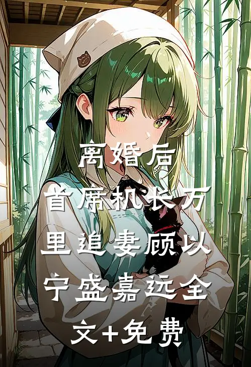 离婚后，首席机长万里追妻顾以宁盛嘉远全文+免费