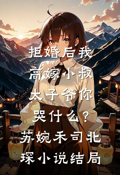 拒婚后我高嫁小叔，太子爷你哭什么？苏婉禾司北琛小说结局