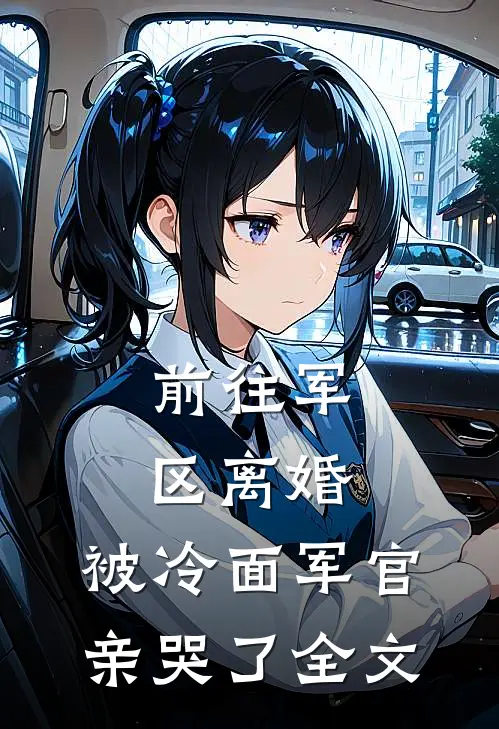 前往军区离婚，被冷面军官亲哭了全文