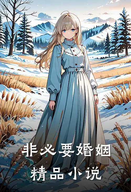 非必要婚姻精品小说