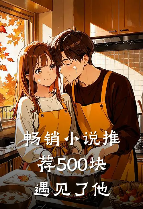 畅销小说推荐500块遇见了他