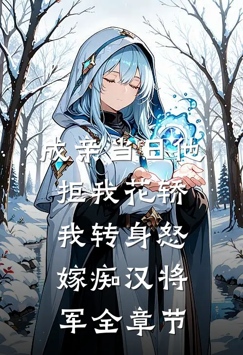 成亲当日他拒我花轿，我转身怒嫁痴汉将军全章节