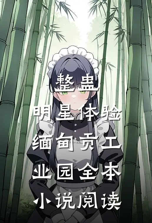 整蛊：明星体验缅甸贡工业园全本小说阅读