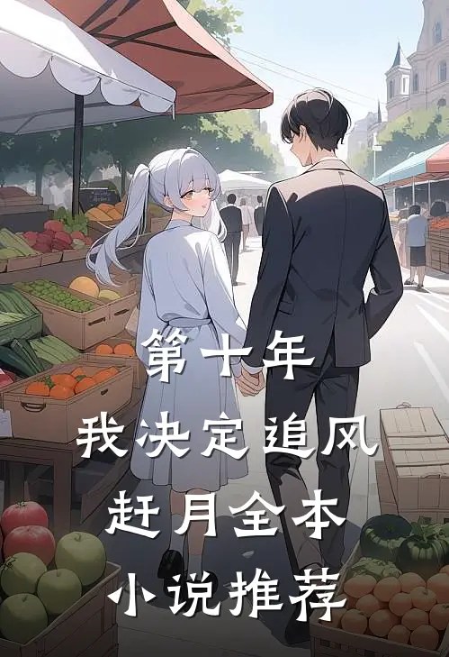 第十年，我决定追风赶月全本小说推荐