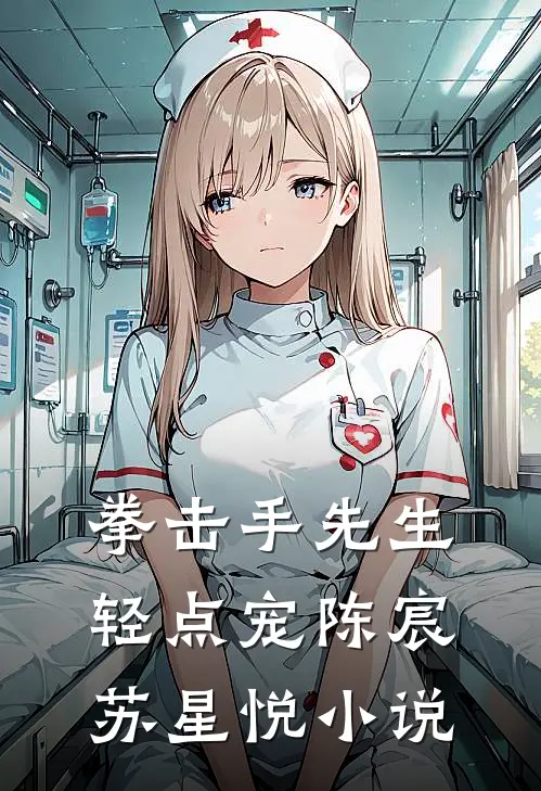 拳击手先生，轻点宠陈宸苏星悦小说