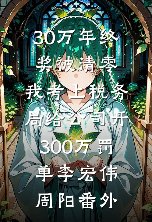 30万年终奖被清零，我考上税务局给公司开300万罚单李宏伟周阳番外
