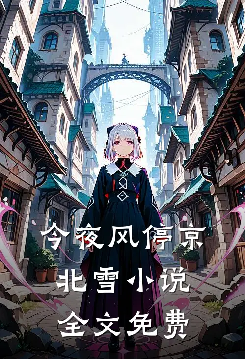 今夜风停京北雪小说全文免费