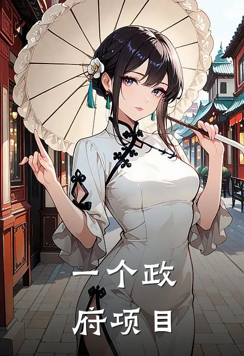 一个政府项目