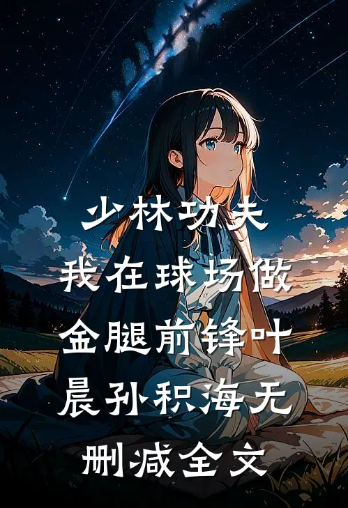 少林功夫：我在球场做金腿前锋叶晨孙积海无删减全文