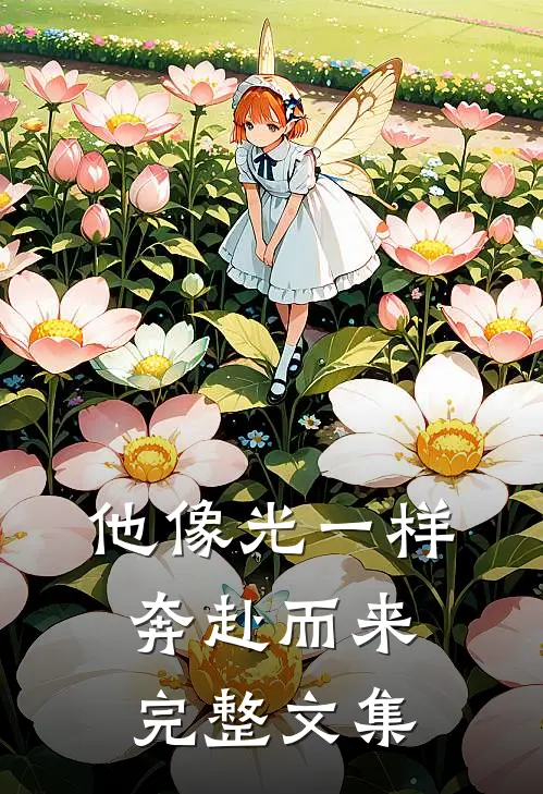 他像光一样奔赴而来完整文集