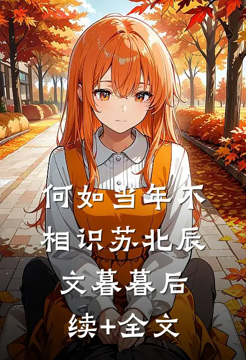 何如当年不相识苏北辰文暮暮后续+全文