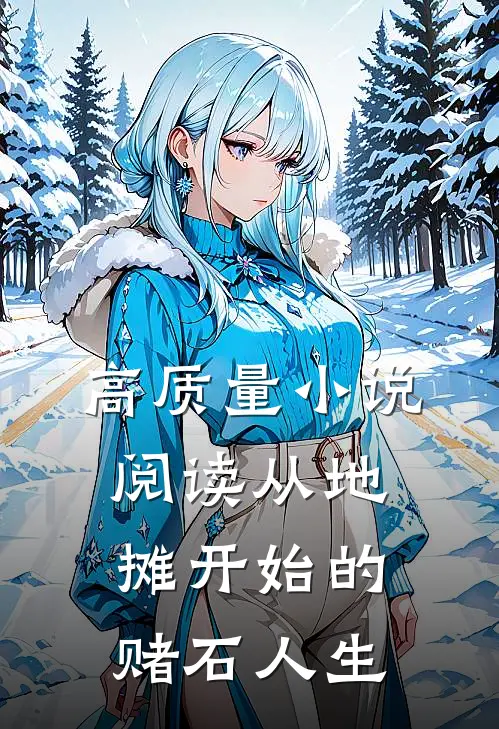 高质量小说阅读从地摊开始的赌石人生