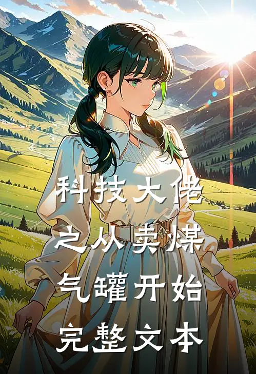 科技大佬之从卖煤气罐开始完整文本