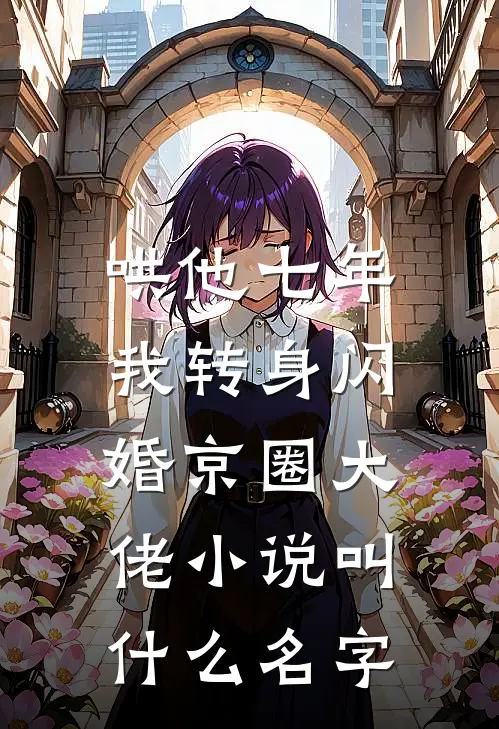 哄他七年，我转身闪婚京圈大佬小说叫什么名字