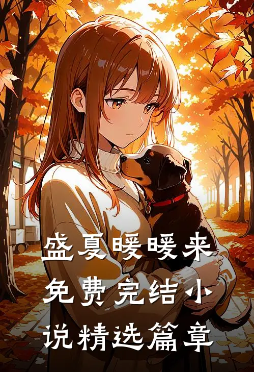 盛夏暖暖来免费完结小说精选篇章