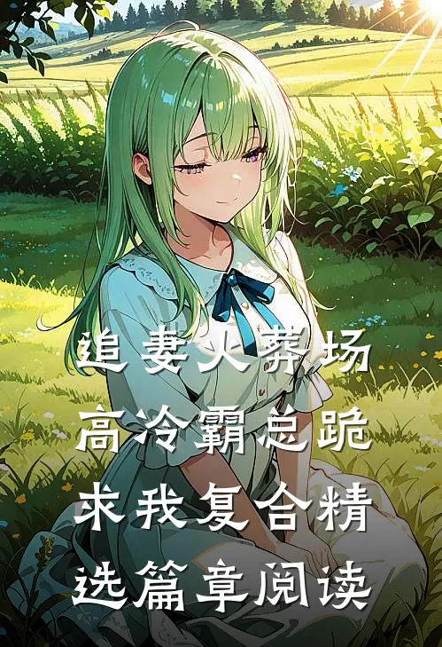 追妻火葬场：高冷霸总跪求我复合精选篇章阅读