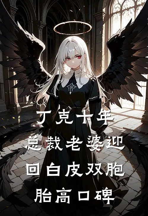 丁克十年，总裁老婆迎回白皮双胞胎高口碑