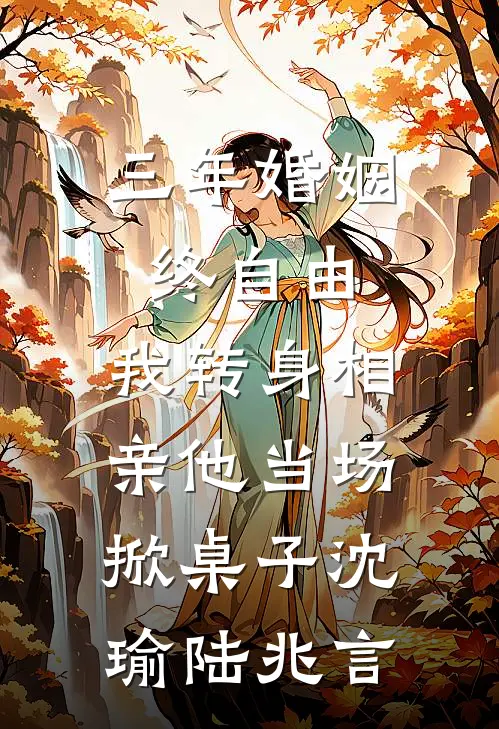 三年婚姻终自由，我转身相亲他当场掀桌子沈瑜陆兆言