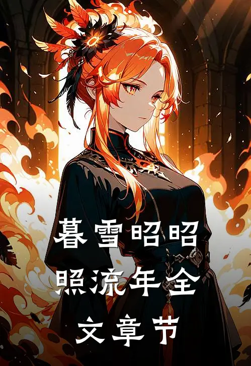 暮雪昭昭照流年全文章节