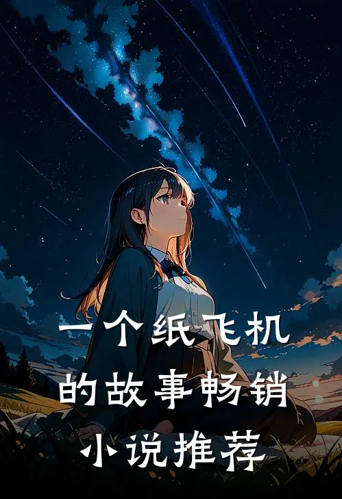 一个纸飞机的故事畅销小说推荐