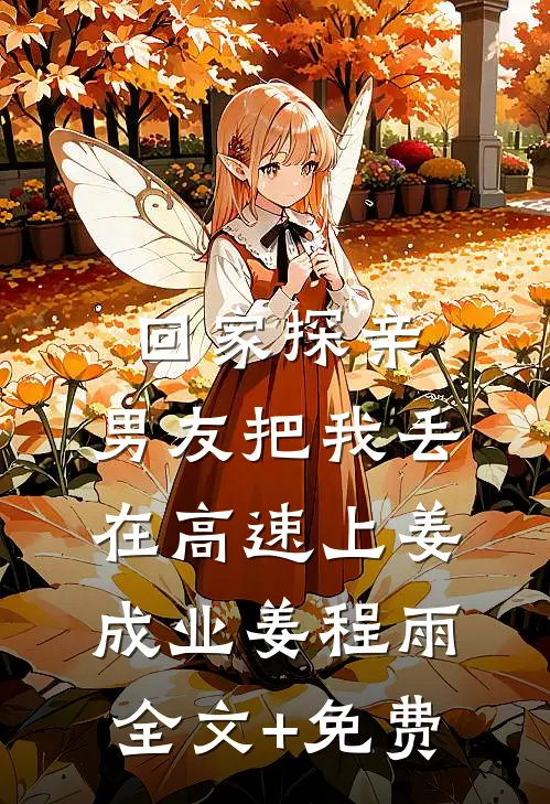 回家探亲，男友把我丢在高速上姜成业姜程雨全文+免费