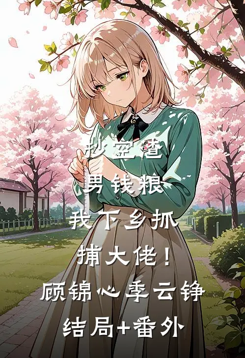 抄空渣男钱粮，我下乡抓捕大佬！顾锦心季云铮结局+番外