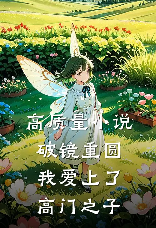 高质量小说破镜重圆：我爱上了高门之子