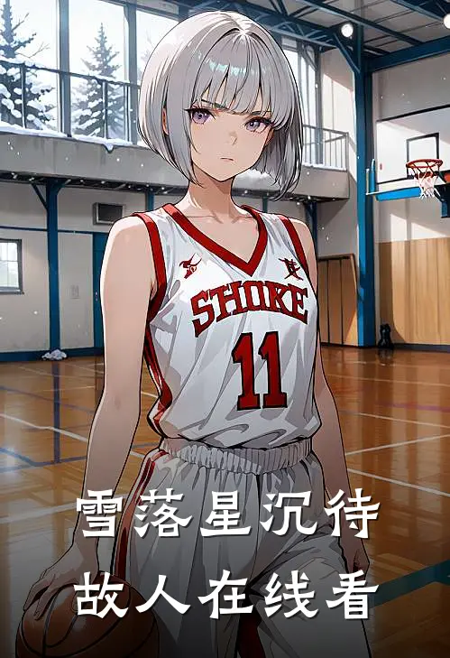 雪落星沉待故人在线看