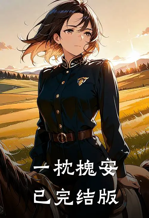 一枕槐安已完结版