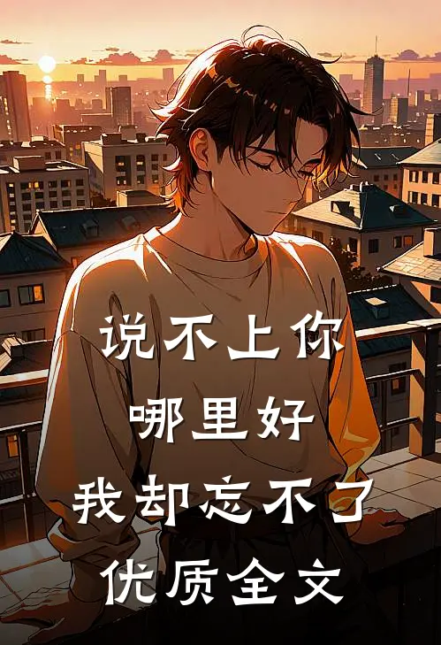 说不上你哪里好，我却忘不了优质全文
