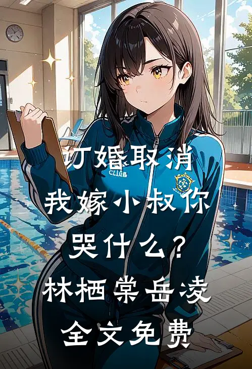 订婚取消，我嫁小叔你哭什么？林栖棠岳凌全文免费