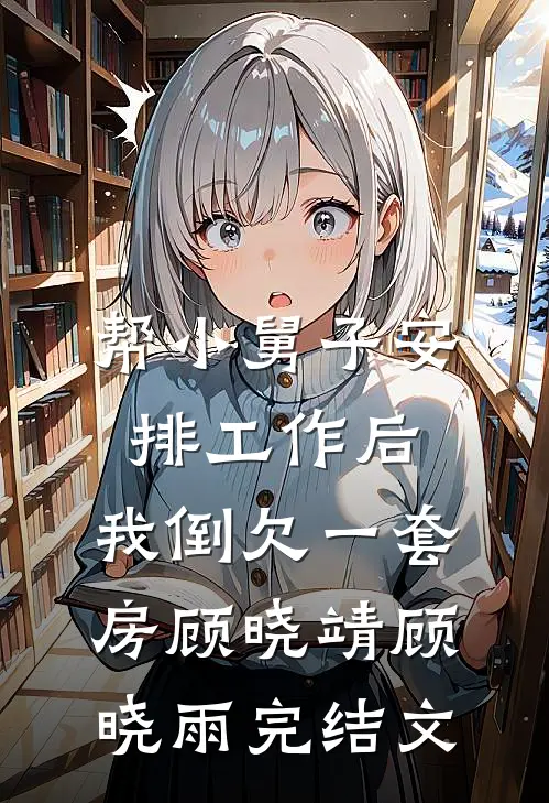 帮小舅子安排工作后，我倒欠一套房顾晓靖顾晓雨完结文