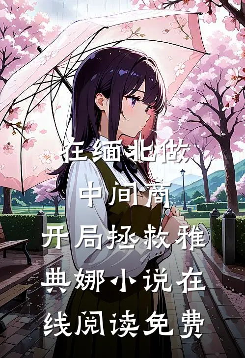 在缅北做中间商，开局拯救雅典娜小说在线阅读免费