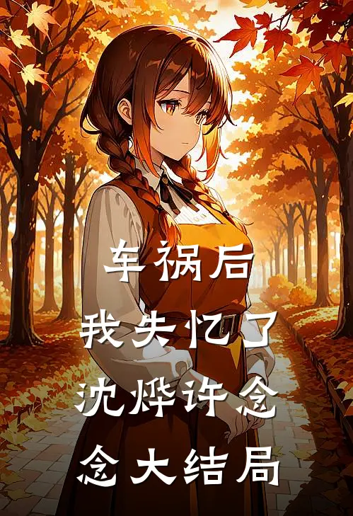 车祸后，我失忆了沈烨许念念大结局