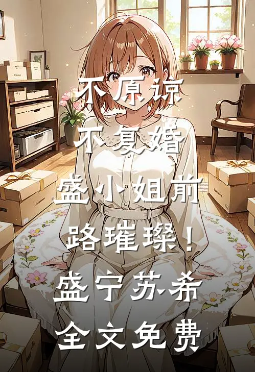 不原谅，不复婚，盛小姐前路璀璨！盛宁苏希全文免费