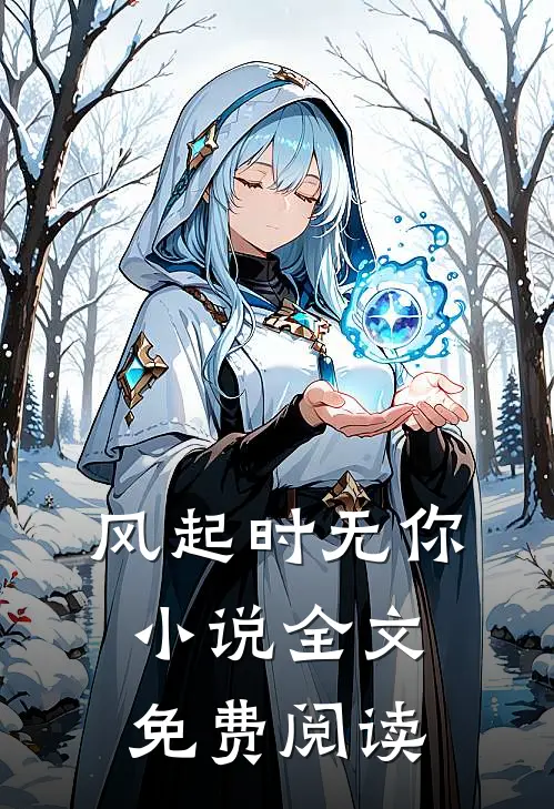 风起时无你小说全文免费阅读