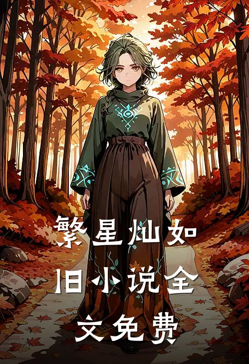 繁星灿如旧小说全文免费