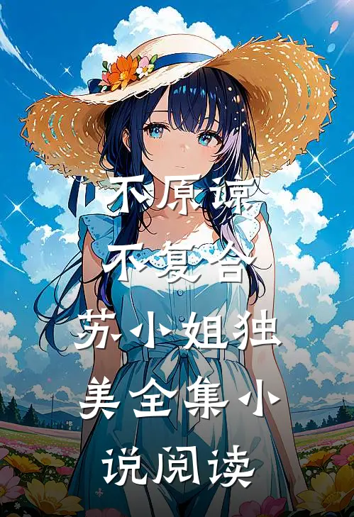 不原谅，不复合，苏小姐独美全集小说阅读