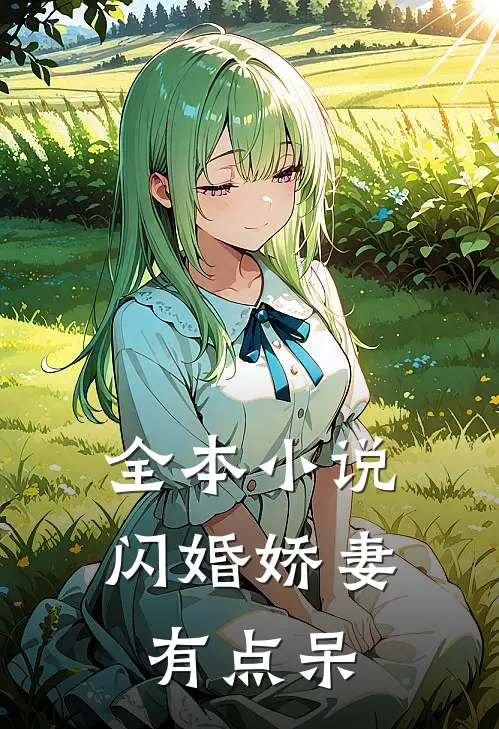 全本小说闪婚娇妻有点呆