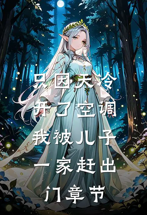 只因天冷开了空调，我被儿子一家赶出门章节