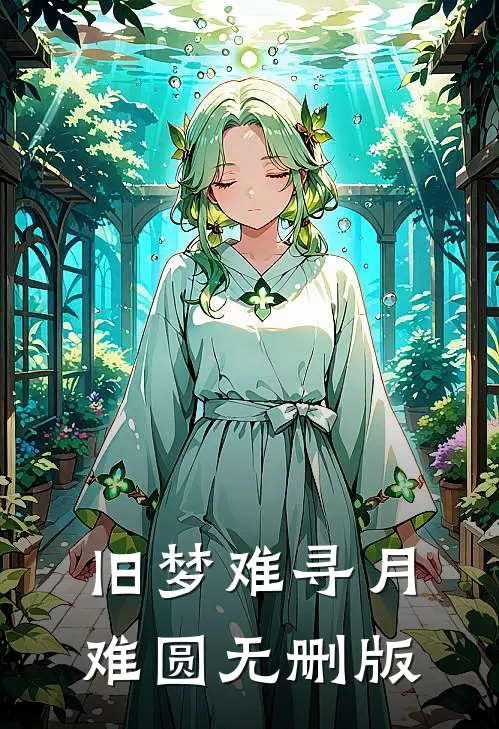 旧梦难寻月难圆无删版
