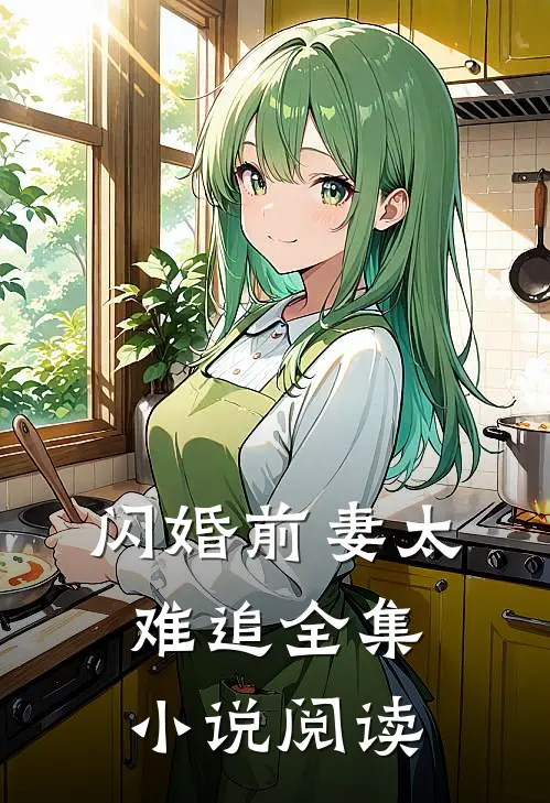 闪婚前妻太难追全集小说阅读
