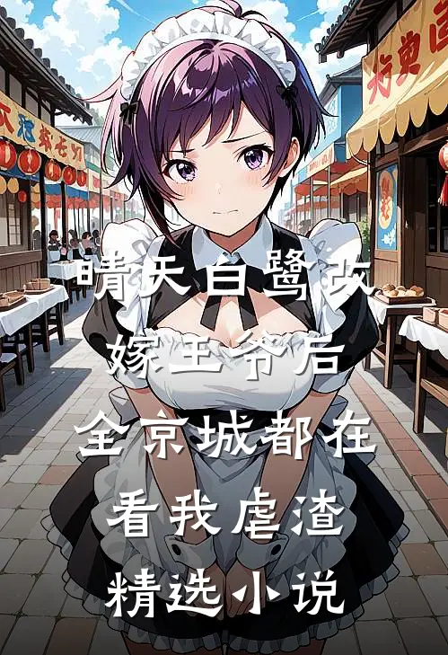 晴天白鹭改嫁王爷后,全京城都在看我虐渣精选小说