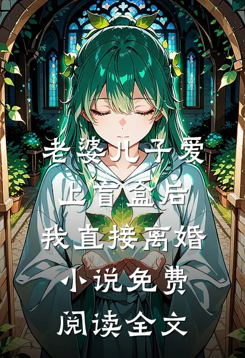 老婆儿子爱上盲盒后，我直接离婚小说免费阅读全文