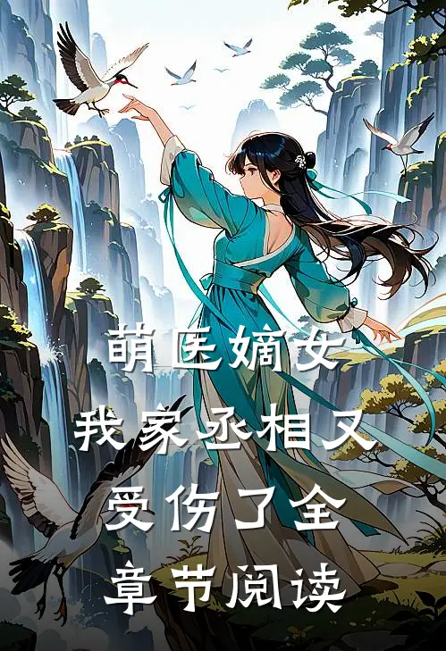 萌医嫡女：我家丞相又受伤了全章节阅读