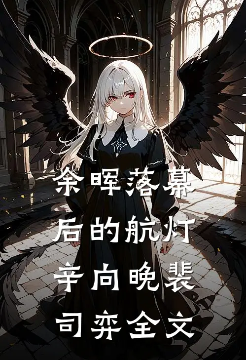 余晖落幕后的航灯辛向晚裴司弈全文