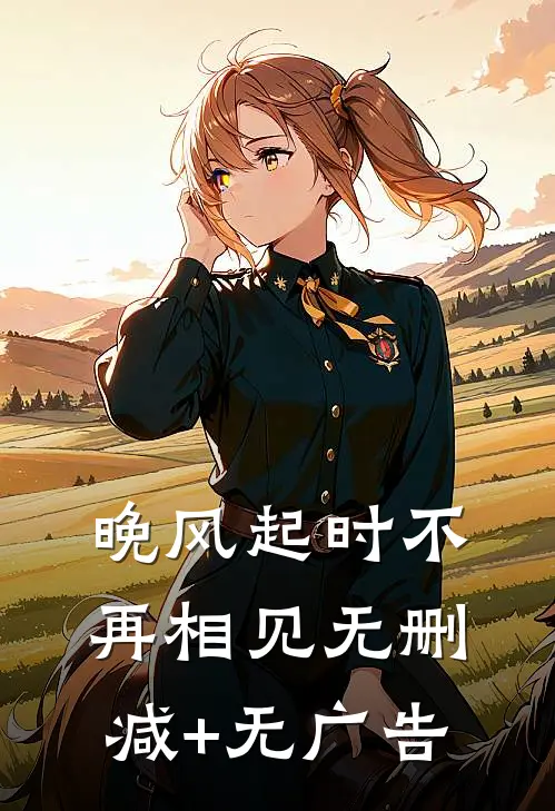 晚风起时不再相见无删减+无广告