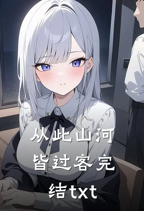 从此山河皆过客完结txt