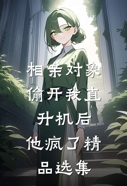相亲对象偷开我直升机后，他疯了精品选集